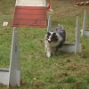 foire-haricots 2011-09-17et18